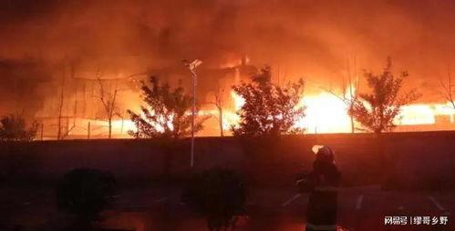 郴州露营爆料事件视频,揭秘户外露营安全与环保挑战