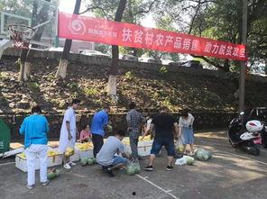 娱乐吃瓜酱贫困户,揭秘贫困户背后的真实故事