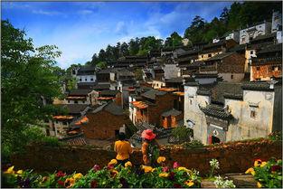 婺源小三最新爆料新闻,最新爆料揭露惊人内幕